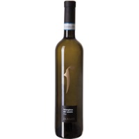 La Guardiense Falanghina del Sannio DOP - - Kampanien, Italien