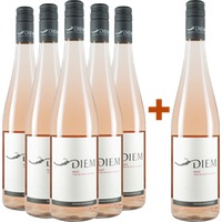 5+1 Paket Zweigelt Rosé trocken BIO BIO - Weingut Diem Gerald und Andrea
