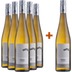 5+1 Paket Weinviertel DAC Grüner Veltliner Falkenstein BIO - Weingut Pesau 