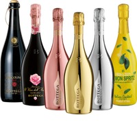 Prickelnder Genuss von Bottega - 6x Probierpaket