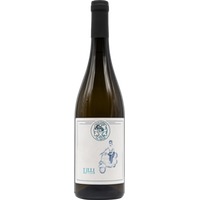 Lilli Pinot Nero Provincia di Pavia IGP trocken - Corte Fabbri