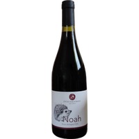 Noah Colli Bolognesi DOC - Otto Logiurato