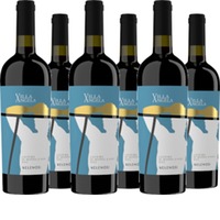 Villa Angela Lacrima di Morro DOC