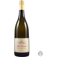 Centive Moscato D´Asti, DOCG, Bio