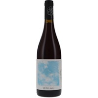 Sòtil Mesquida Mora (bio)