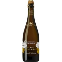 Manufaktur Jörg Geiger  Blanc de Blanc - NV  - Baden-Württemberg, Deutschland
