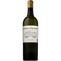 L'Esprit de Chevalier