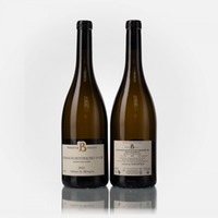 Chassagne-Montrachet 1er Cru Abbaye de Morgeot