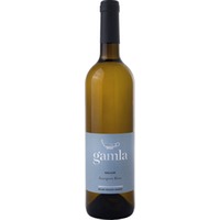 Gamla Sauvignon Blanc, Golanhöhen (Israelische Siedlung), Galiläa, Golanhöhen, 2023, Weißwein