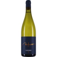 Aufricht Chardonnay von alten Reben trocken 2024