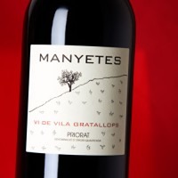 Manyetes