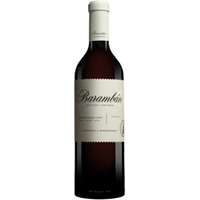 Barambán Spanien Rotwein Trocken