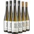 Sauvignon Blanc Paket - Weingut Stefan Potzinger 