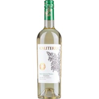 Sauvignon Blanc Reserva 12er Paket