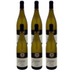 Chablis 6er Paket 