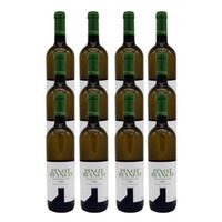 Pinot Bianco Weissburgunder Cora 12er Paket