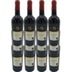 Conte di Campiano 15 Gradi Limited Edition Cabernet - Primitivo 12er Paket 