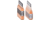 6 x Rose Zweigelt + 6 x Frizzante Rose Zweigelt