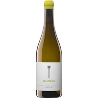 Ilunum Blanco Castilla VT trocken - Ilunum
