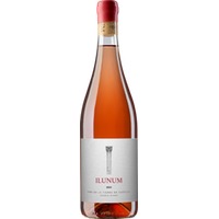 Ilunum Rosado Castilla VT trocken - Ilunum
