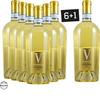 6+1 Aktion, VIVARELLO, LUGANA DOC