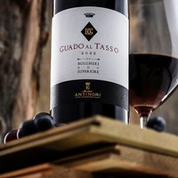 Bolgheri Rosso Superiore Guado al Tasso