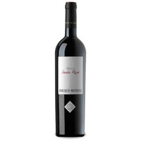 Enrique Mendoza Santa Rosa