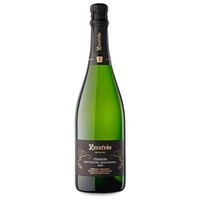 Recaredo Terrers Brut Nature Magnum