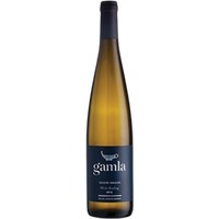 Golan Heights GAMLA Risling - - Golanhöhen, Israel