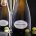 Prosecco Superiore Bandarossa Extra Dry 