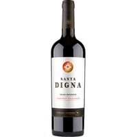 Torres Santa Digna Cabernet Sauvignon Reserva