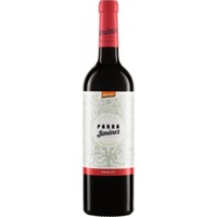 Bodegas Irjimpa Merlot PARRA