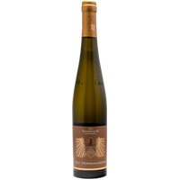 Altenbamberger Rotenberg Riesling GG