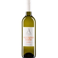 Sauvignon Blanc "Pure" - Artisan Wines