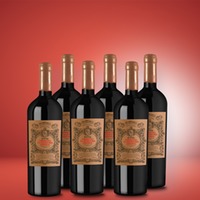 EVITA Primitivo di Manduria Ris. 6er Vorratspaket