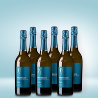 Viticoltori Ponte Prosecco Treviso Extra Dry 6er Vorratspaket