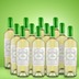 EVITA Trebbiano Pinot Grigio 12er Vorratspaket 