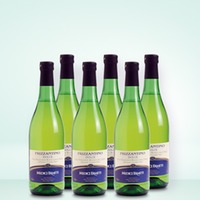 Medici Ermete Frizzantino 6er Vorratspaket