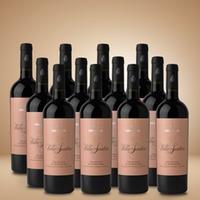 Leone de Castris Villa Santera Primitvo 12er Vorratspaket