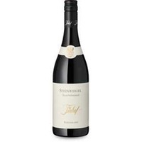 Steinriegel Blaufränkisch