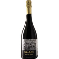 Trento Blanc De Blancs Extra Brut - Castel Noarna