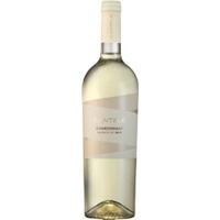 Chardonnay Salento IGP