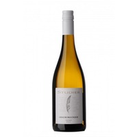 Weingut Studier Grauburgunder trocken