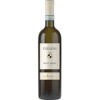 Pinot Grigio IGT Conte Collalto M.O. - - Veneto, Italien