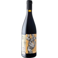 Bodega Finca Sandoval Salia Manchuela DO - - Meseta, Spanien