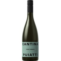 Puiatti Vigneti Pinot Grigio Friuli DOP - - Friaul, Italien