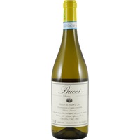 Verdicchio Classico - Villa Bucci
