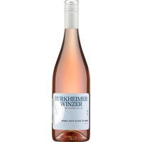 LEBENSFREUDE Pinot Noir Blanc de Noirs trocken - Burkheimer Winzer