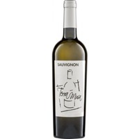 Sauvignon Blanc Venezia DOC - Terra Musa