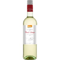 Pinot Grigio Terre di Chieti IGT - Villa San Giorgio